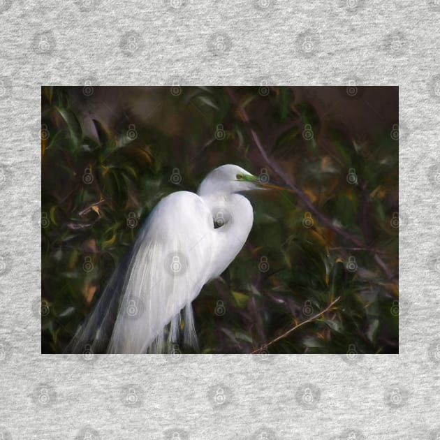 Great Egret Breeding Mask by jillnightingale